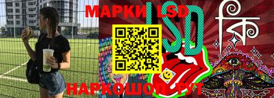 крисы Новодвинск