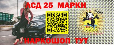 крисы Новодвинск