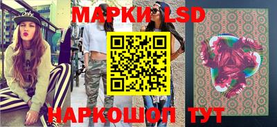 крисы Новодвинск