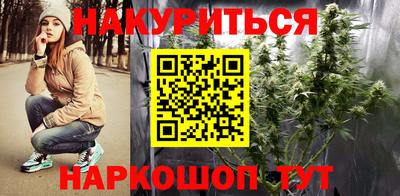 крисы Новодвинск