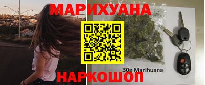 крисы Новодвинск