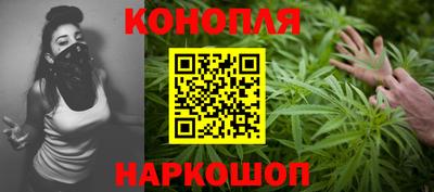 крисы Новодвинск