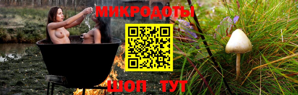 Галлюциногенные грибы прущие грибы  Вход с VPN  Славгород 